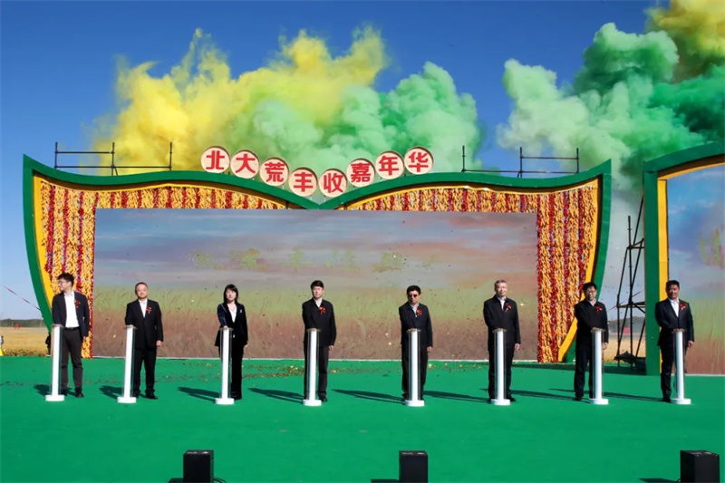 图片8