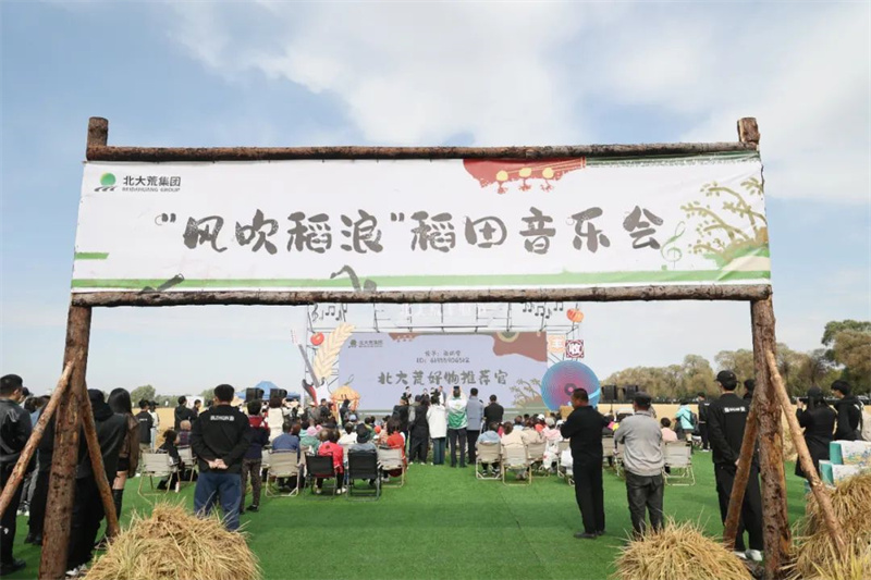图片10